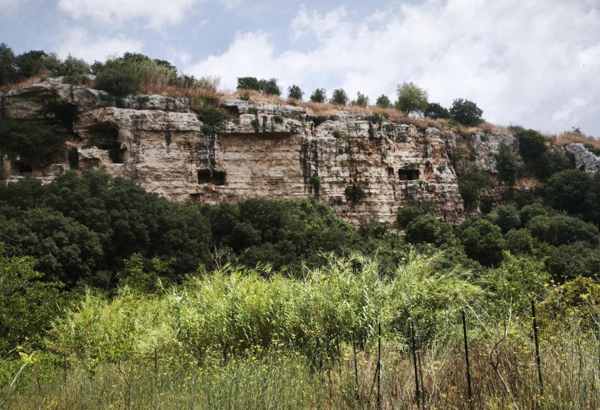 Vista panoramica della Cava d'Ispica con la valle, la vegetazione mediterranea e le antiche abitazioni rupestri.